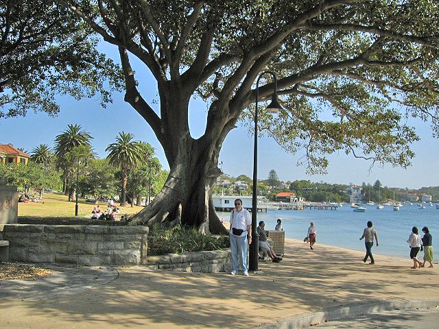 A 204 Baie de Sydney - Watsons Bay.jpg